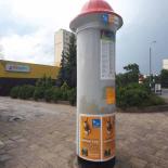 Władysława Dziewulskiego x Heleny Piskorskiej